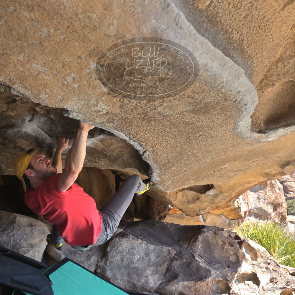 

Filename: SRM_20230308_1122240.jpg
Aperture: f/5.6
Shutter Speed: 1/320
Body: Canon EOS R6
Lens: Canon EF 16-35mm f/2.8 L