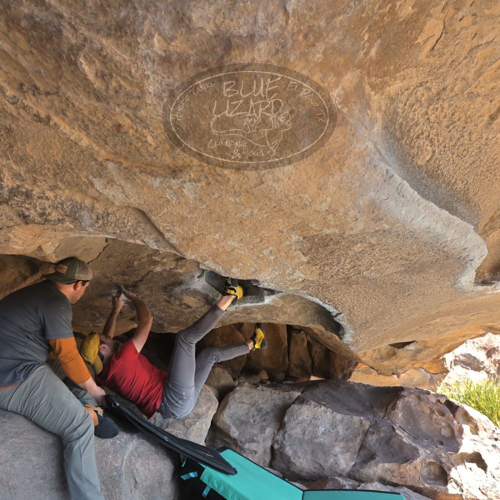 

Filename: SRM_20230308_1139010.jpg
Aperture: f/5.6
Shutter Speed: 1/320
Body: Canon EOS R6
Lens: Canon EF 16-35mm f/2.8 L