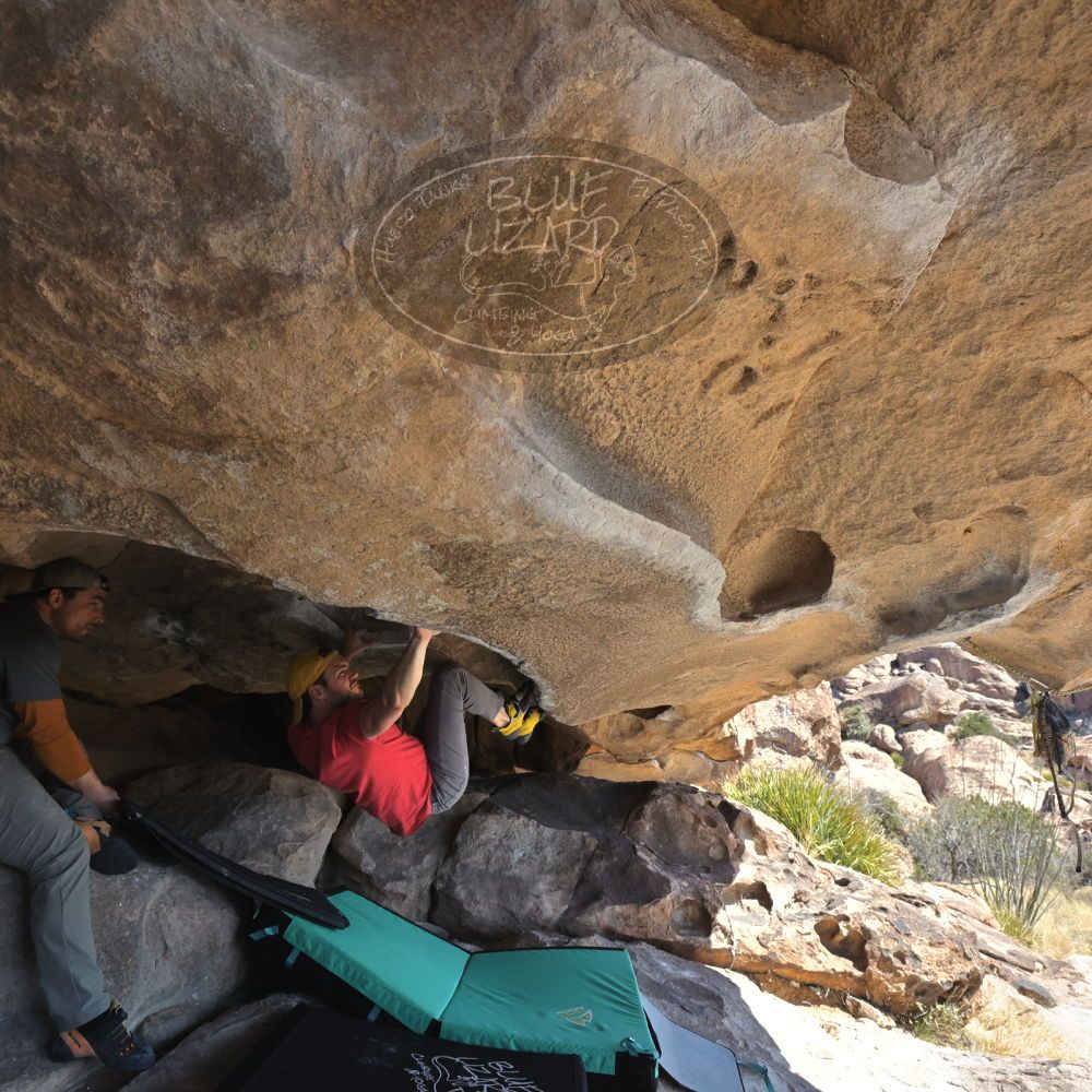 

Filename: SRM_20230308_1139090.jpg
Aperture: f/5.6
Shutter Speed: 1/320
Body: Canon EOS R6
Lens: Canon EF 16-35mm f/2.8 L