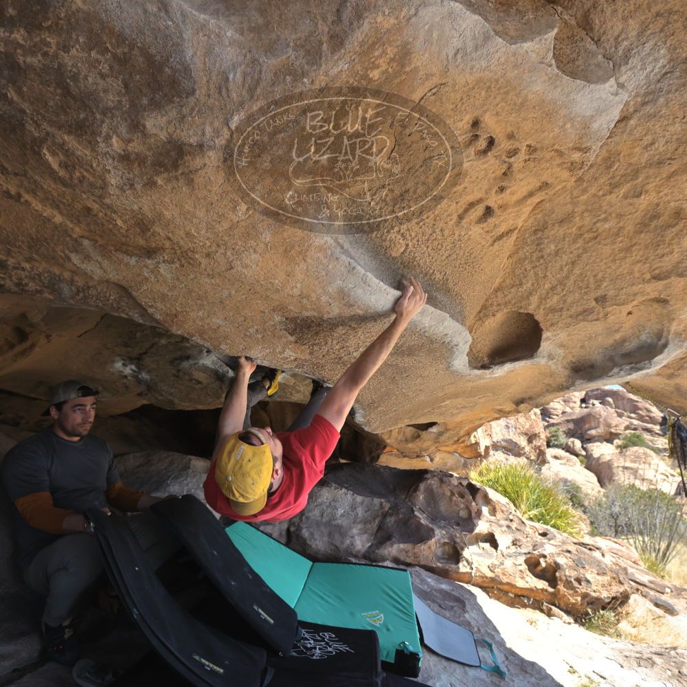 

Filename: SRM_20230308_1139300.jpg
Aperture: f/5.6
Shutter Speed: 1/320
Body: Canon EOS R6
Lens: Canon EF 16-35mm f/2.8 L