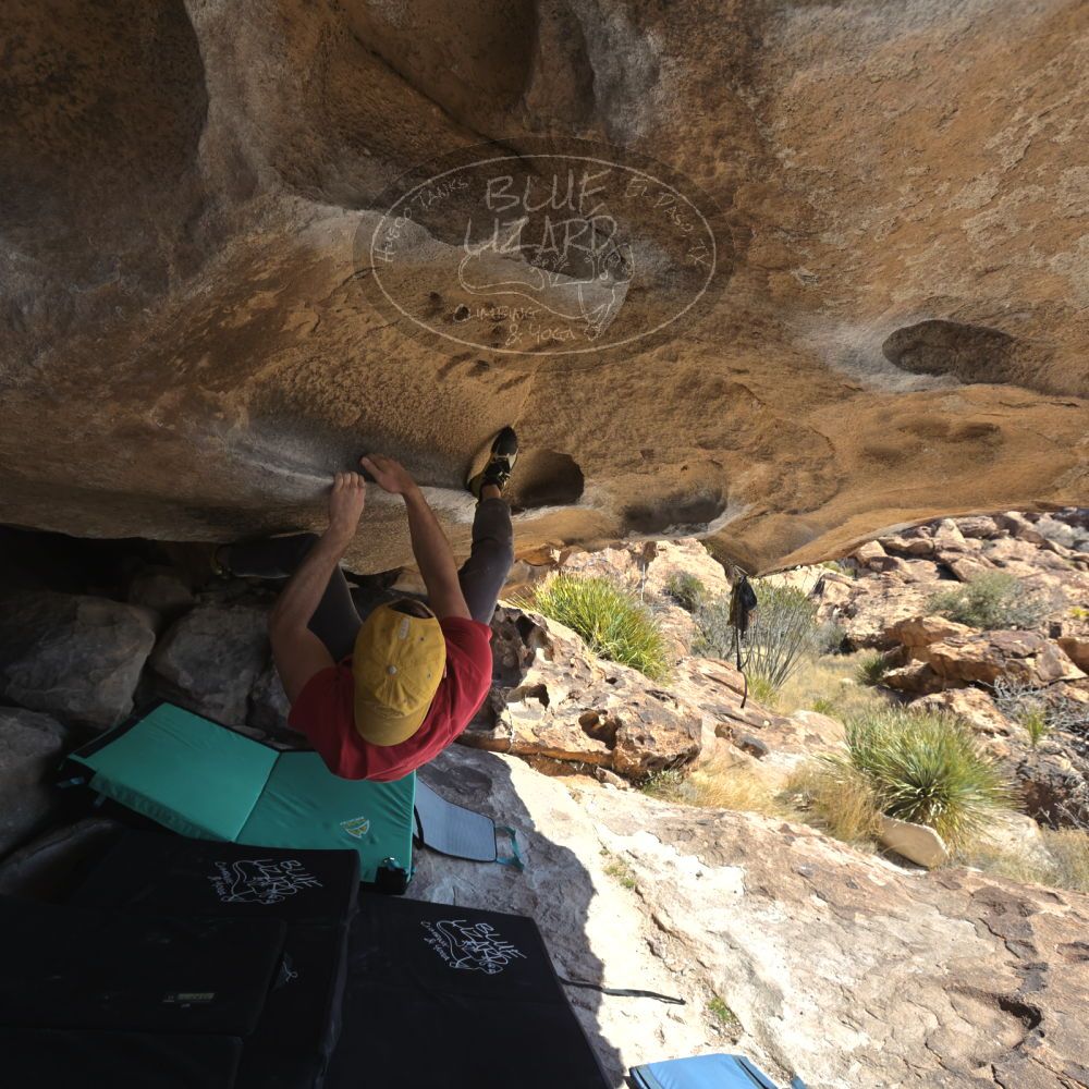 

Filename: SRM_20230308_1140040.jpg
Aperture: f/5.6
Shutter Speed: 1/320
Body: Canon EOS R6
Lens: Canon EF 16-35mm f/2.8 L