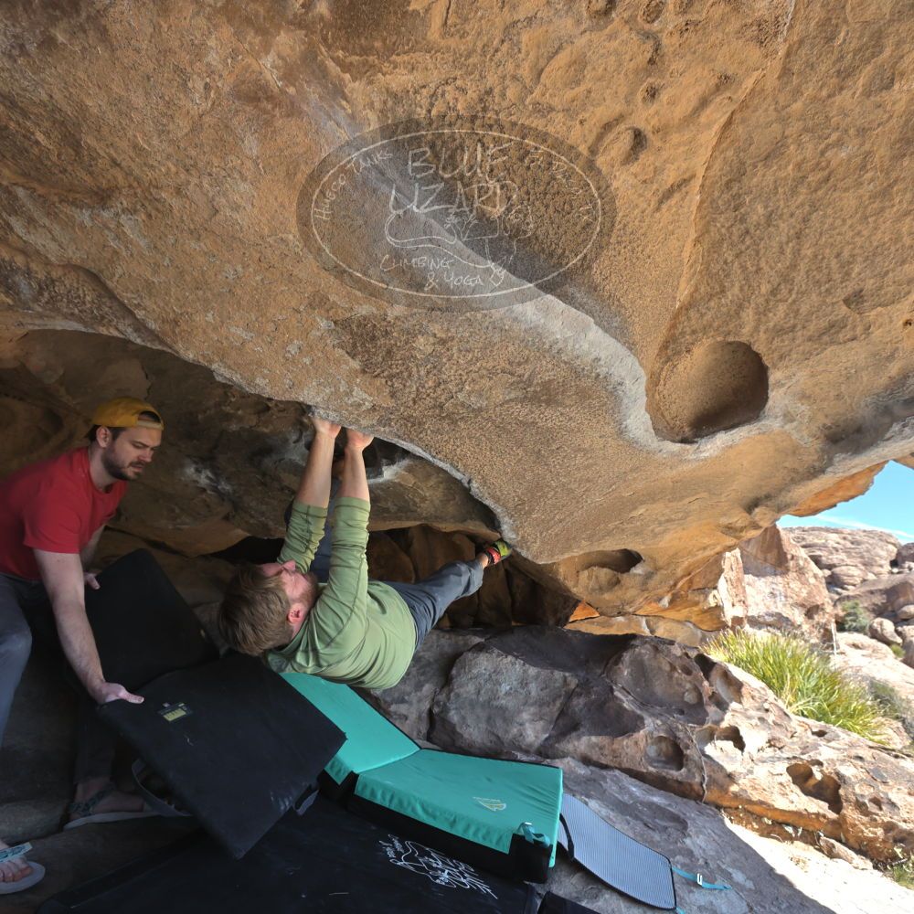 

Filename: SRM_20230308_1205160.jpg
Aperture: f/5.6
Shutter Speed: 1/320
Body: Canon EOS R6
Lens: Canon EF 16-35mm f/2.8 L