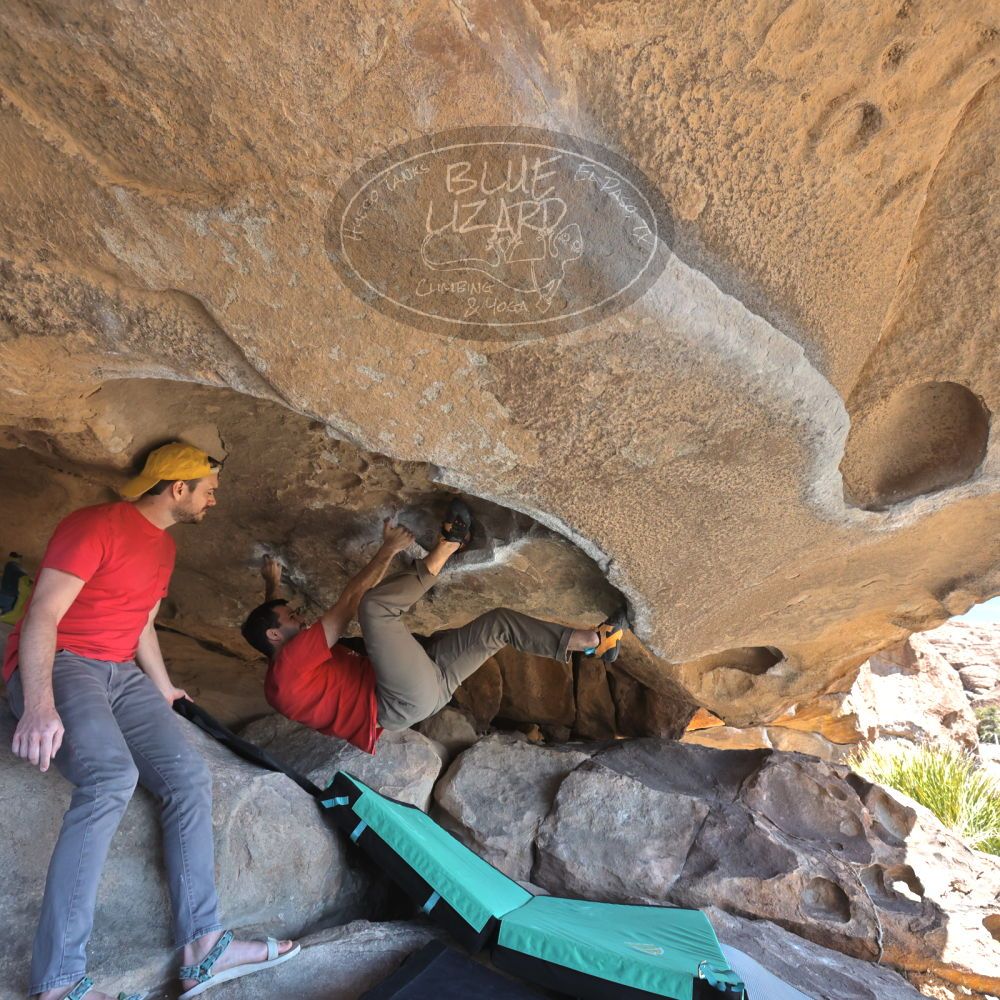 

Filename: SRM_20230308_1227130.jpg
Aperture: f/5.6
Shutter Speed: 1/320
Body: Canon EOS R6
Lens: Canon EF 16-35mm f/2.8 L