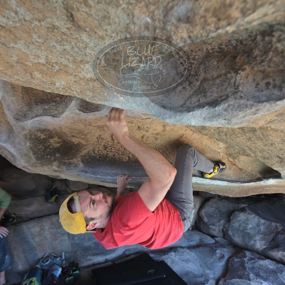 

Filename: SRM_20230308_1231090.jpg
Aperture: f/5.6
Shutter Speed: 1/320
Body: Canon EOS R6
Lens: Canon EF 16-35mm f/2.8 L