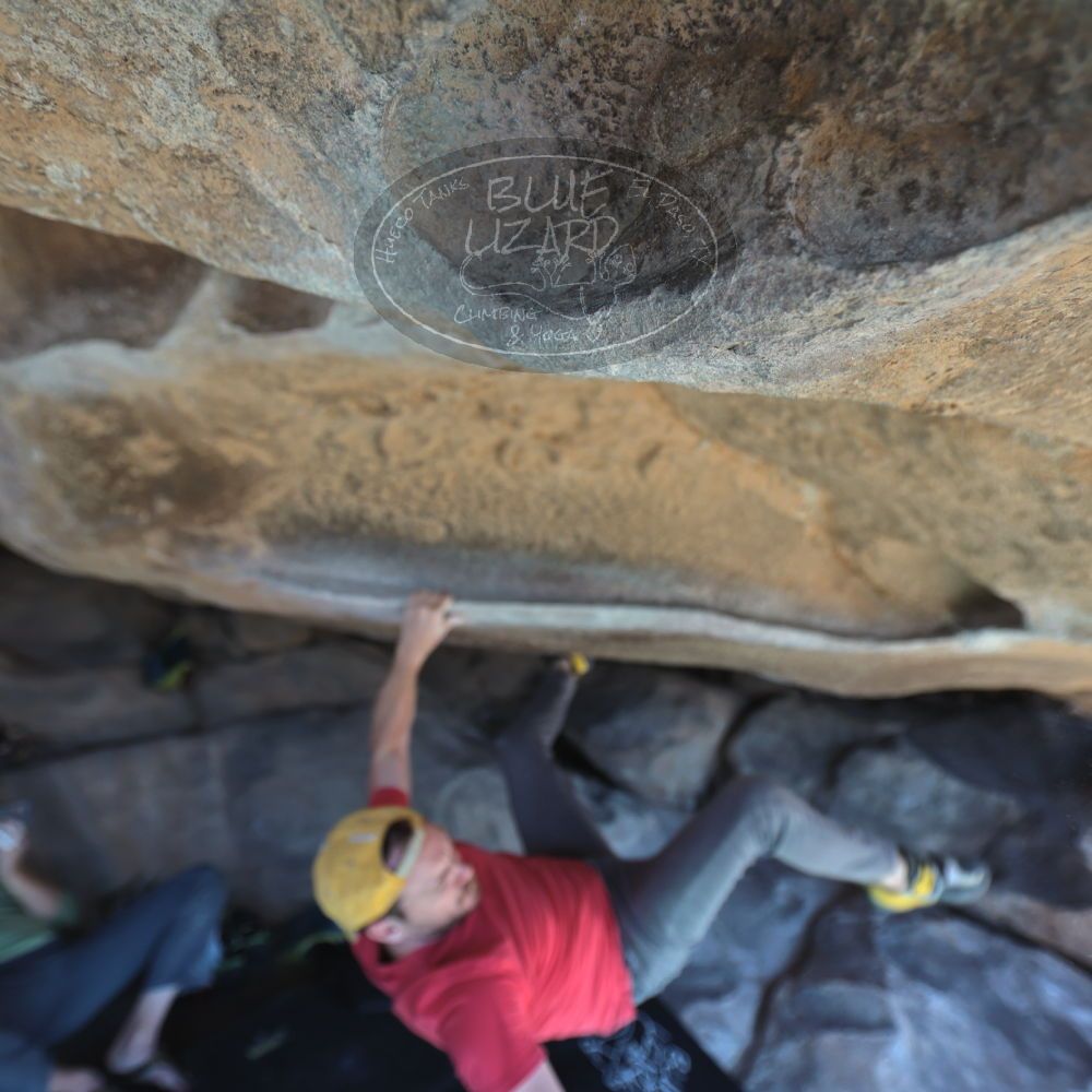 

Filename: SRM_20230308_1235105.jpg
Aperture: f/2.8
Shutter Speed: 1/500
Body: Canon EOS R6
Lens: Canon EF 16-35mm f/2.8 L