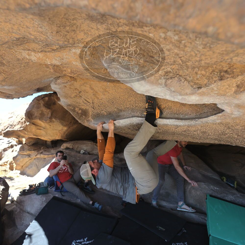 

Filename: SRM_20230308_1313520.jpg
Aperture: f/5.6
Shutter Speed: 1/320
Body: Canon EOS R6
Lens: Canon EF 16-35mm f/2.8 L