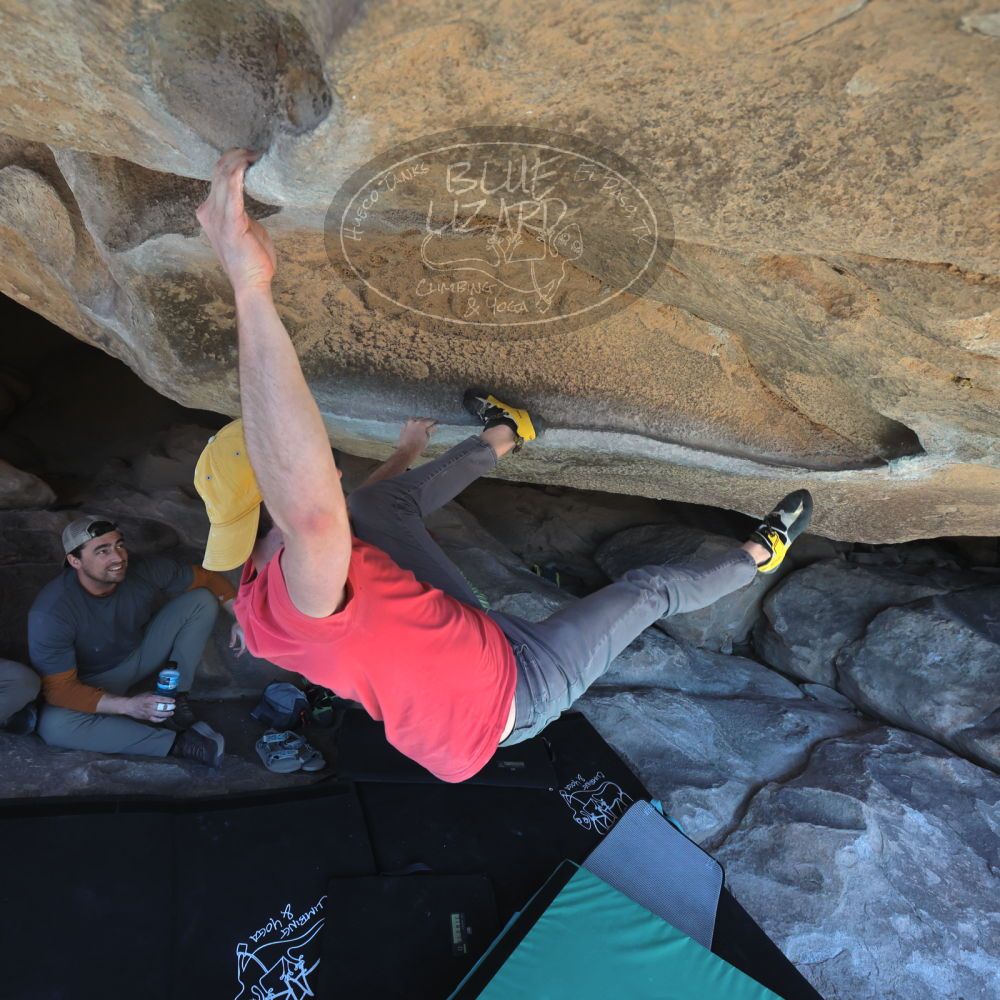 

Filename: SRM_20230308_1321063.jpg
Aperture: f/5.6
Shutter Speed: 1/500
Body: Canon EOS R6
Lens: Canon EF 16-35mm f/2.8 L