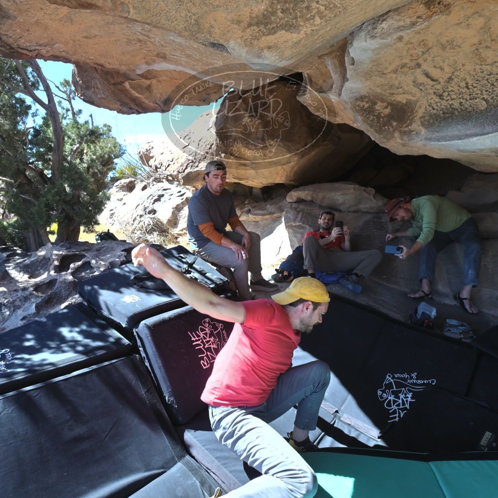 

Filename: SRM_20230308_1328323.jpg
Aperture: f/5.6
Shutter Speed: 1/500
Body: Canon EOS R6
Lens: Canon EF 16-35mm f/2.8 L