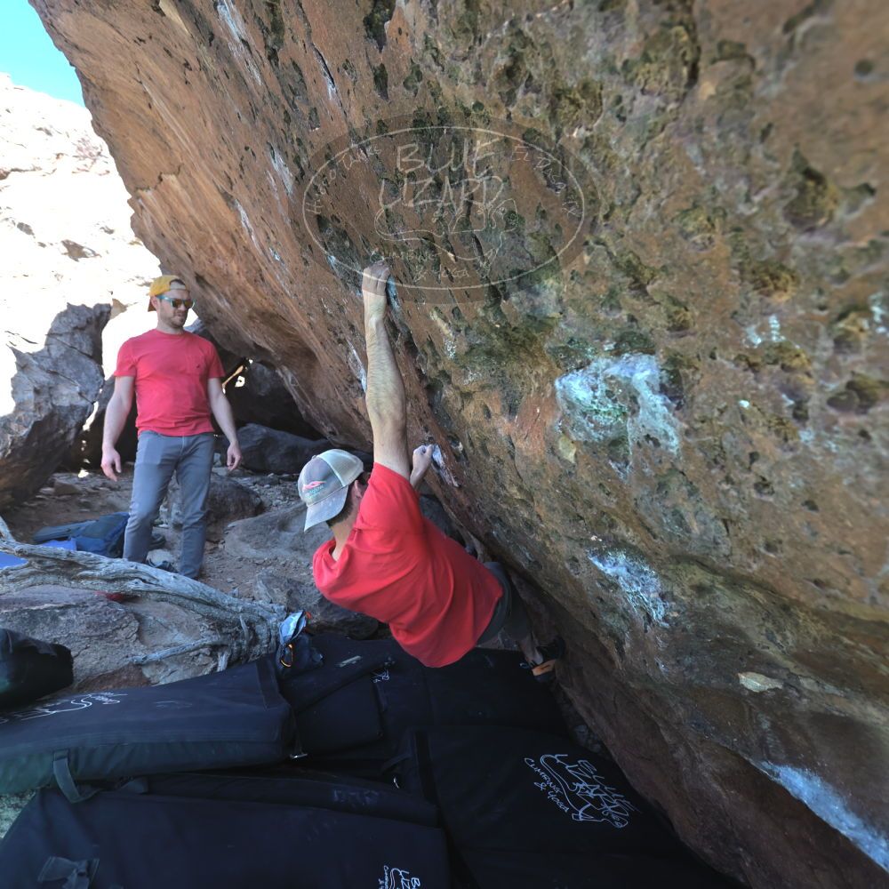 

Filename: SRM_20230308_1414410.jpg
Aperture: f/4.0
Shutter Speed: 1/320
Body: Canon EOS R6
Lens: Canon EF 16-35mm f/2.8 L