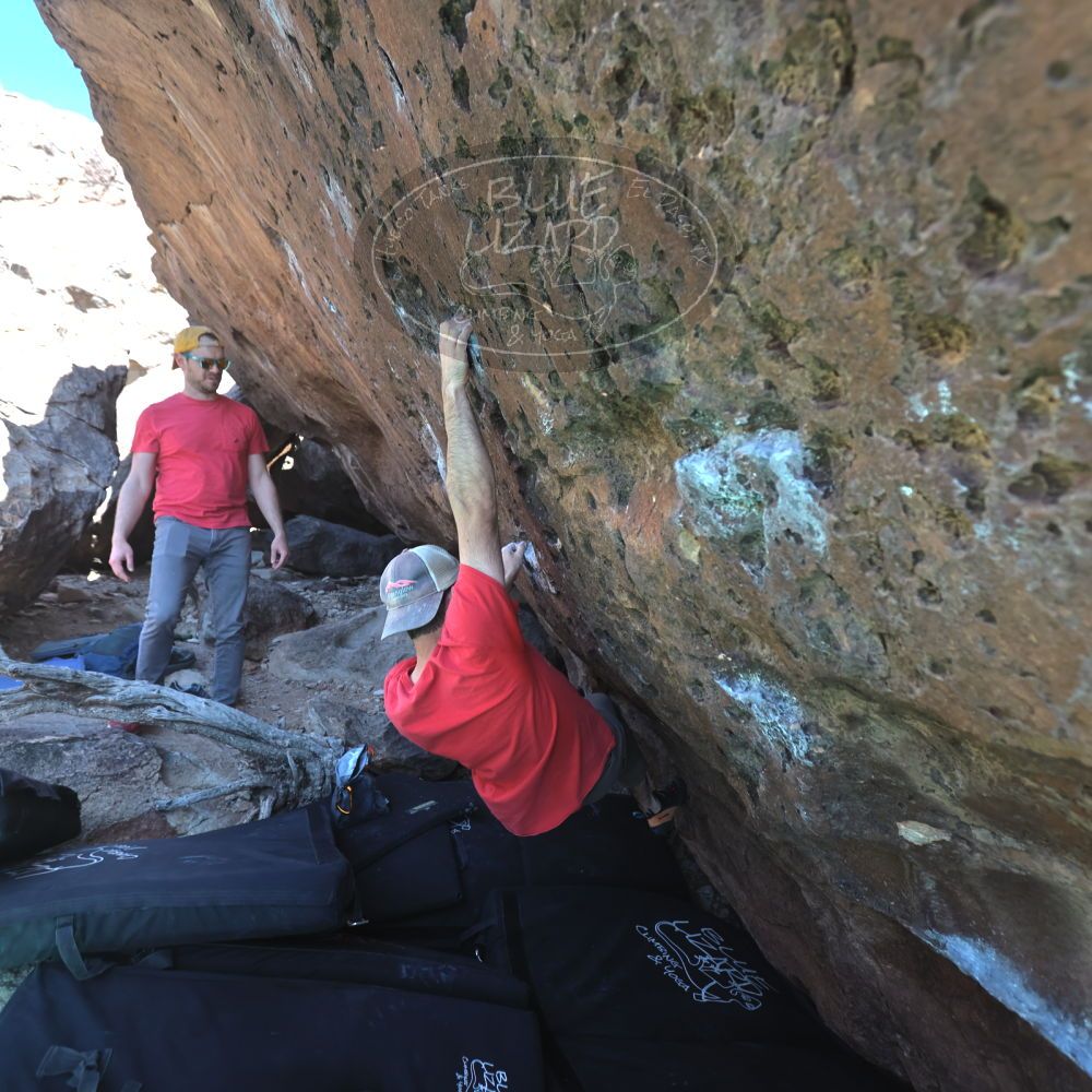 

Filename: SRM_20230308_1414411.jpg
Aperture: f/4.0
Shutter Speed: 1/320
Body: Canon EOS R6
Lens: Canon EF 16-35mm f/2.8 L