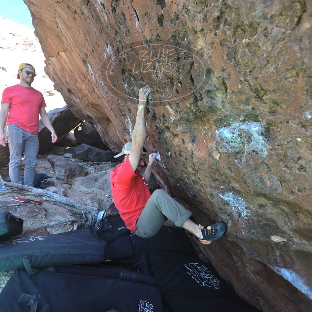 

Filename: SRM_20230308_1414440.jpg
Aperture: f/4.0
Shutter Speed: 1/320
Body: Canon EOS R6
Lens: Canon EF 16-35mm f/2.8 L