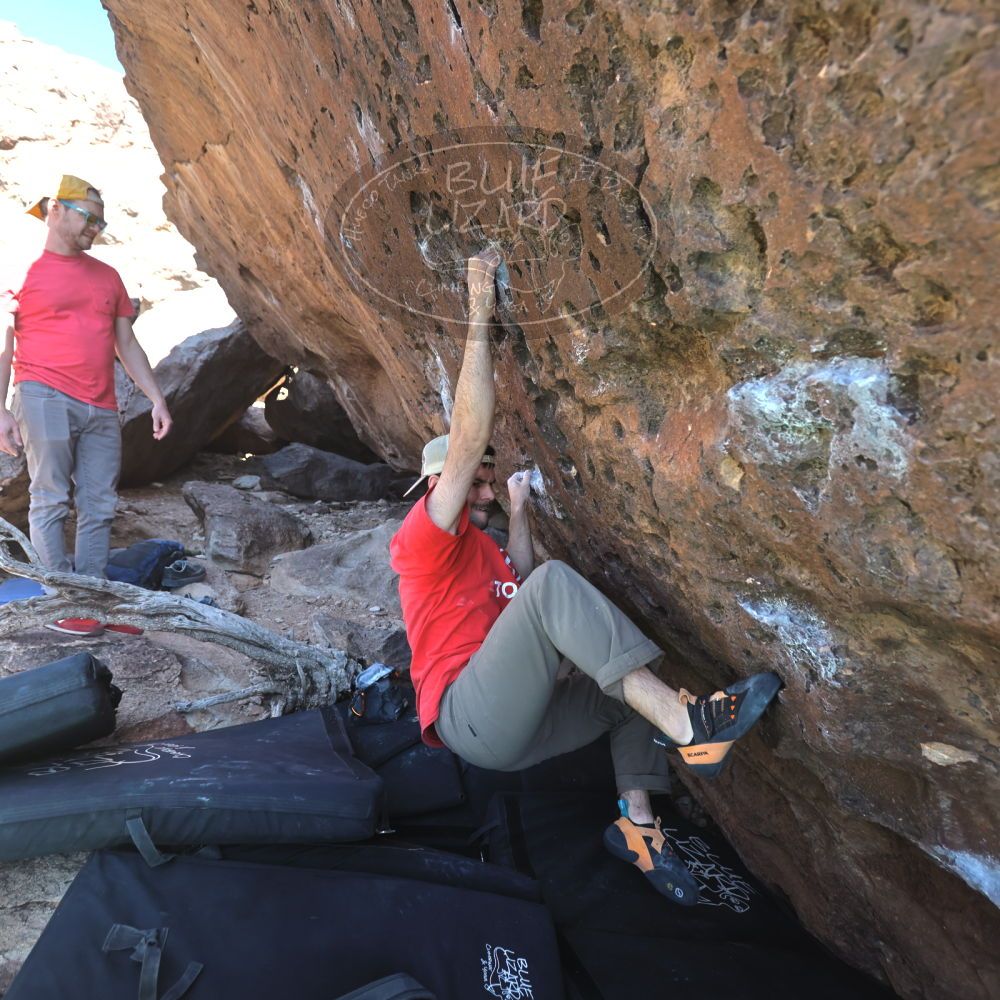 

Filename: SRM_20230308_1416210.jpg
Aperture: f/4.0
Shutter Speed: 1/320
Body: Canon EOS R6
Lens: Canon EF 16-35mm f/2.8 L