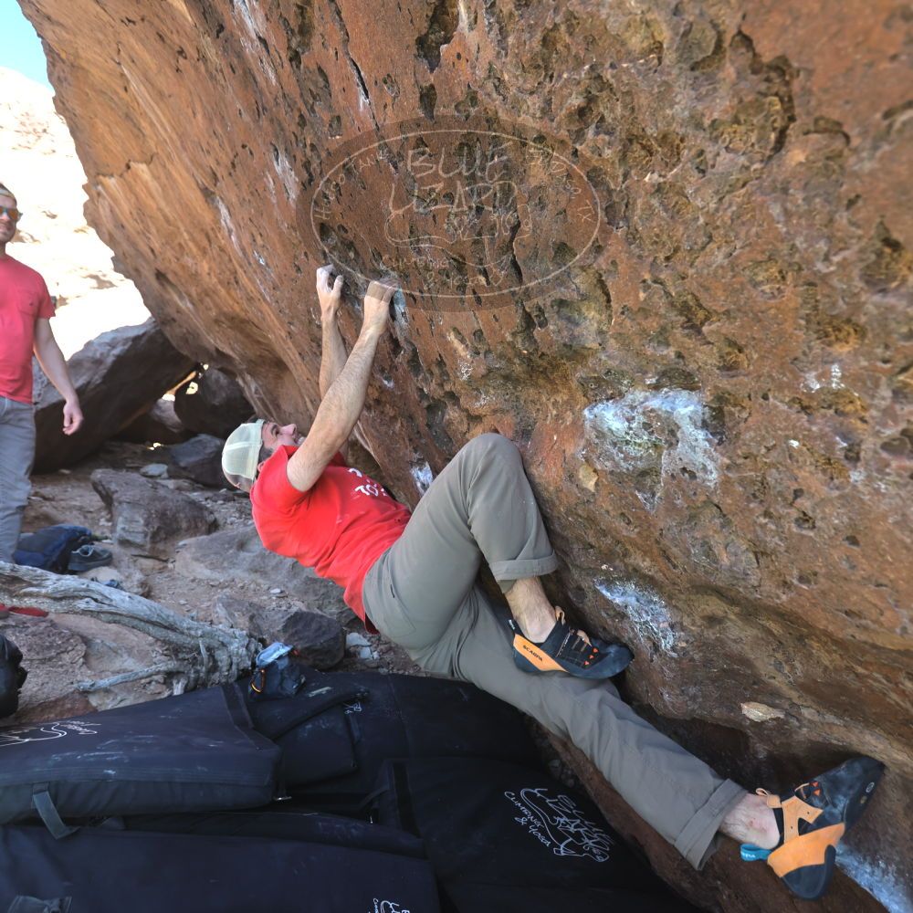 

Filename: SRM_20230308_1416230.jpg
Aperture: f/4.0
Shutter Speed: 1/320
Body: Canon EOS R6
Lens: Canon EF 16-35mm f/2.8 L