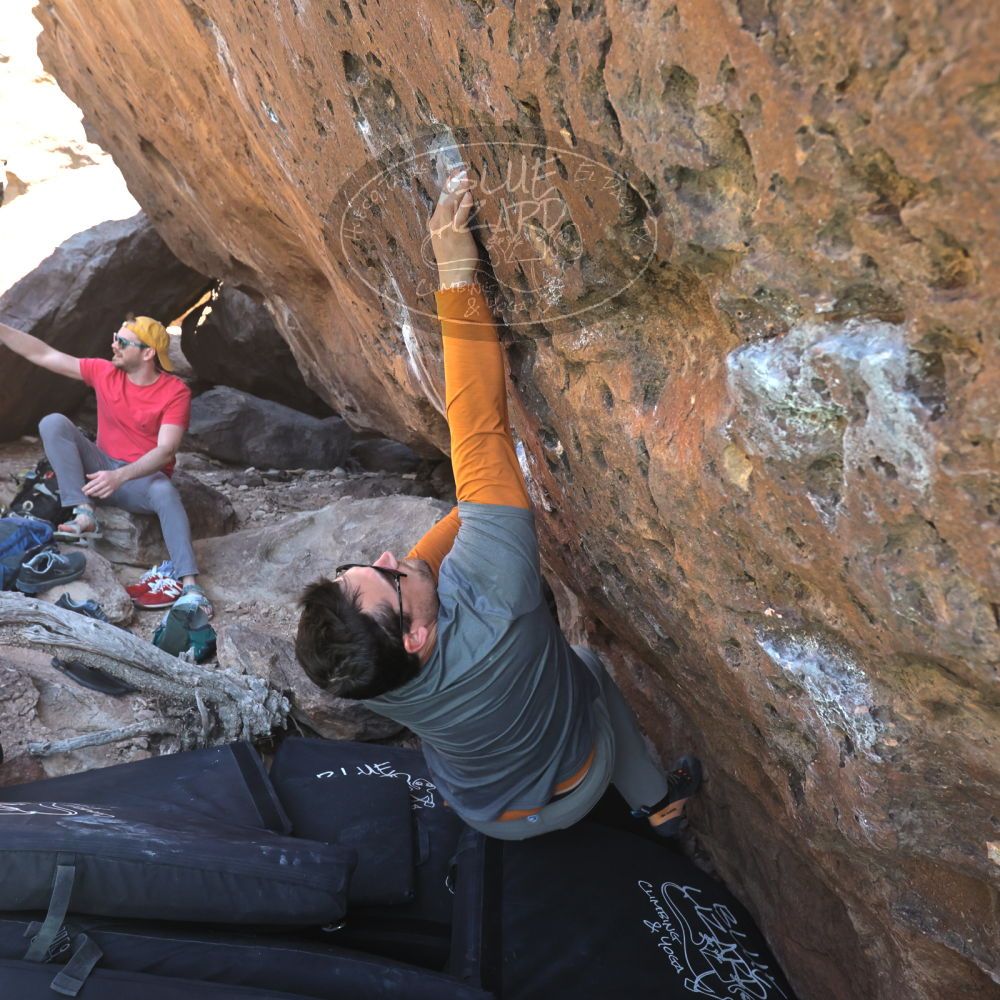 

Filename: SRM_20230308_1425530.jpg
Aperture: f/5.6
Shutter Speed: 1/320
Body: Canon EOS R6
Lens: Canon EF 16-35mm f/2.8 L