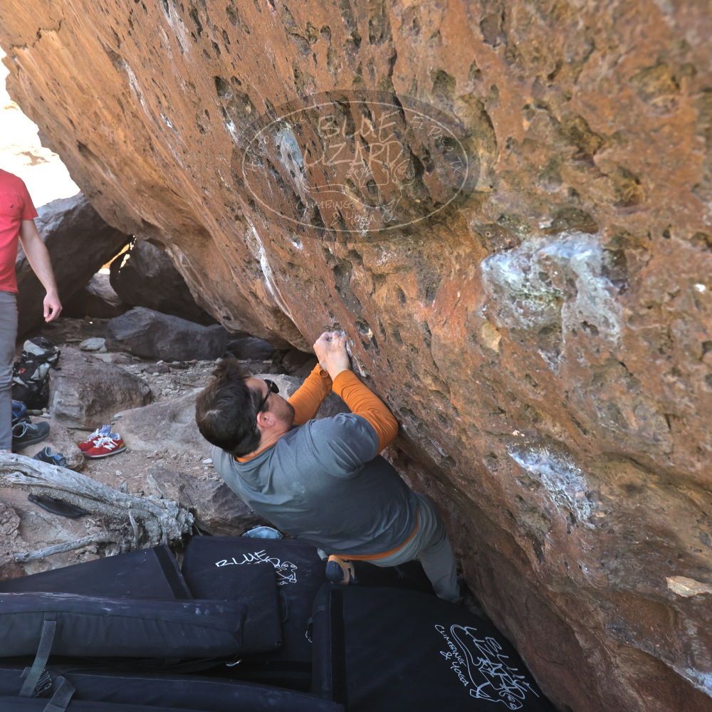 

Filename: SRM_20230308_1426490.jpg
Aperture: f/5.6
Shutter Speed: 1/320
Body: Canon EOS R6
Lens: Canon EF 16-35mm f/2.8 L