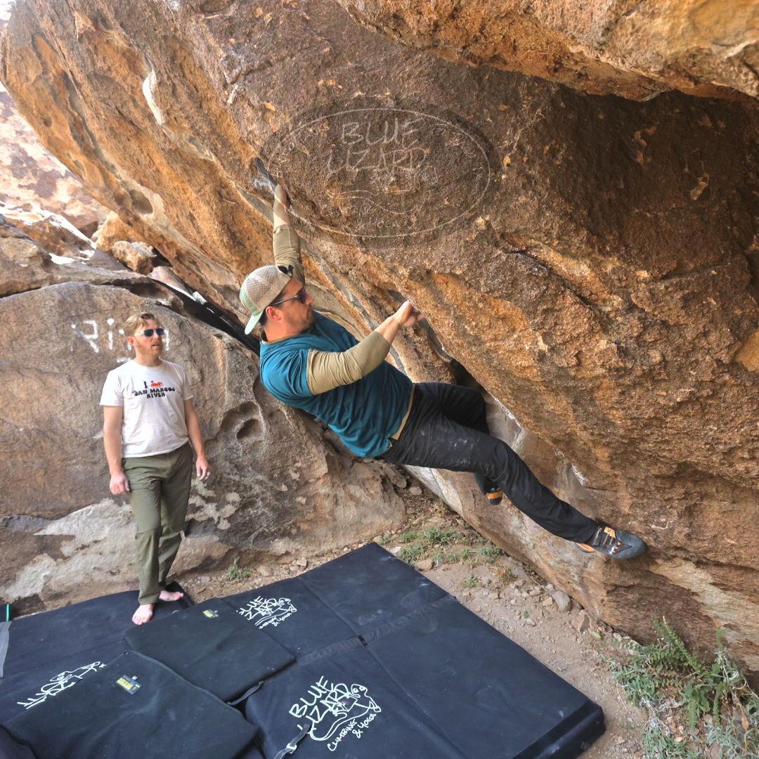 

Filename: SRM_20230307_1119291.jpg
Aperture: f/5.6
Shutter Speed: 1/500
Body: Canon EOS R6
Lens: Canon EF 16-35mm f/2.8 L