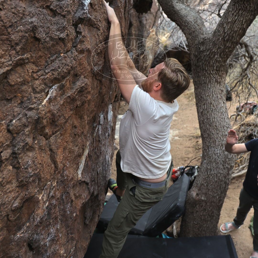 

Filename: SRM_20230307_1617030.jpg
Aperture: f/4.0
Shutter Speed: 1/250
Body: Canon EOS R6
Lens: Canon EF 16-35mm f/2.8 L