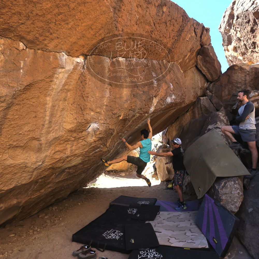 

Filename: SRM_20230310_1035460.jpg
Aperture: f/5.6
Shutter Speed: 1/400
Body: Canon EOS R6
Lens: Canon EF 16-35mm f/2.8 L