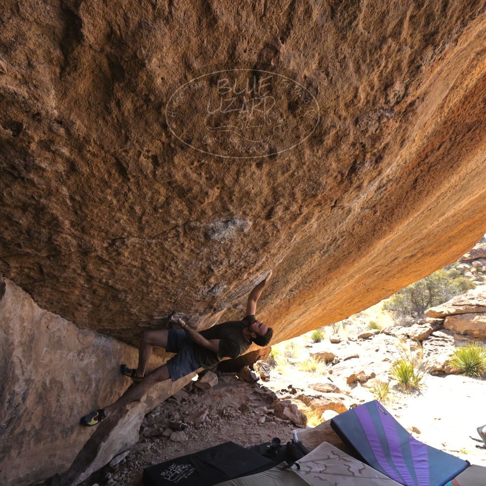 

Filename: SRM_20230310_1220380.jpg
Aperture: f/5.6
Shutter Speed: 1/400
Body: Canon EOS R6
Lens: Canon EF 16-35mm f/2.8 L