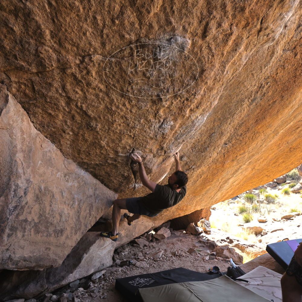 

Filename: SRM_20230310_1226450.jpg
Aperture: f/5.6
Shutter Speed: 1/400
Body: Canon EOS R6
Lens: Canon EF 16-35mm f/2.8 L