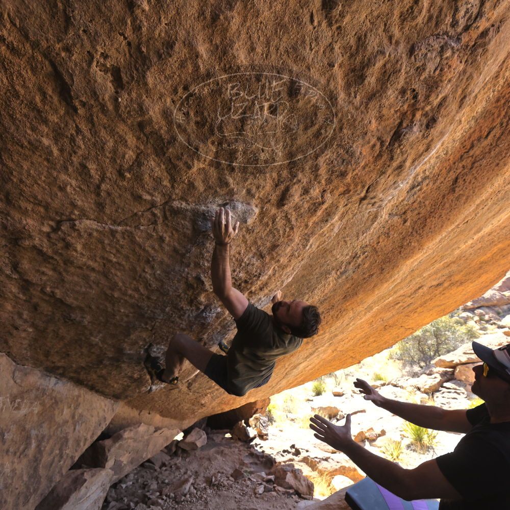 

Filename: SRM_20230310_1233580.jpg
Aperture: f/5.6
Shutter Speed: 1/400
Body: Canon EOS R6
Lens: Canon EF 16-35mm f/2.8 L