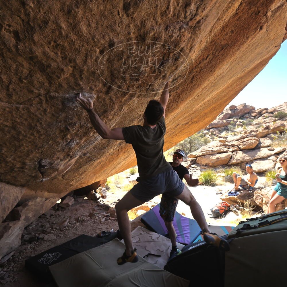 

Filename: SRM_20230310_1234061.jpg
Aperture: f/5.6
Shutter Speed: 1/400
Body: Canon EOS R6
Lens: Canon EF 16-35mm f/2.8 L