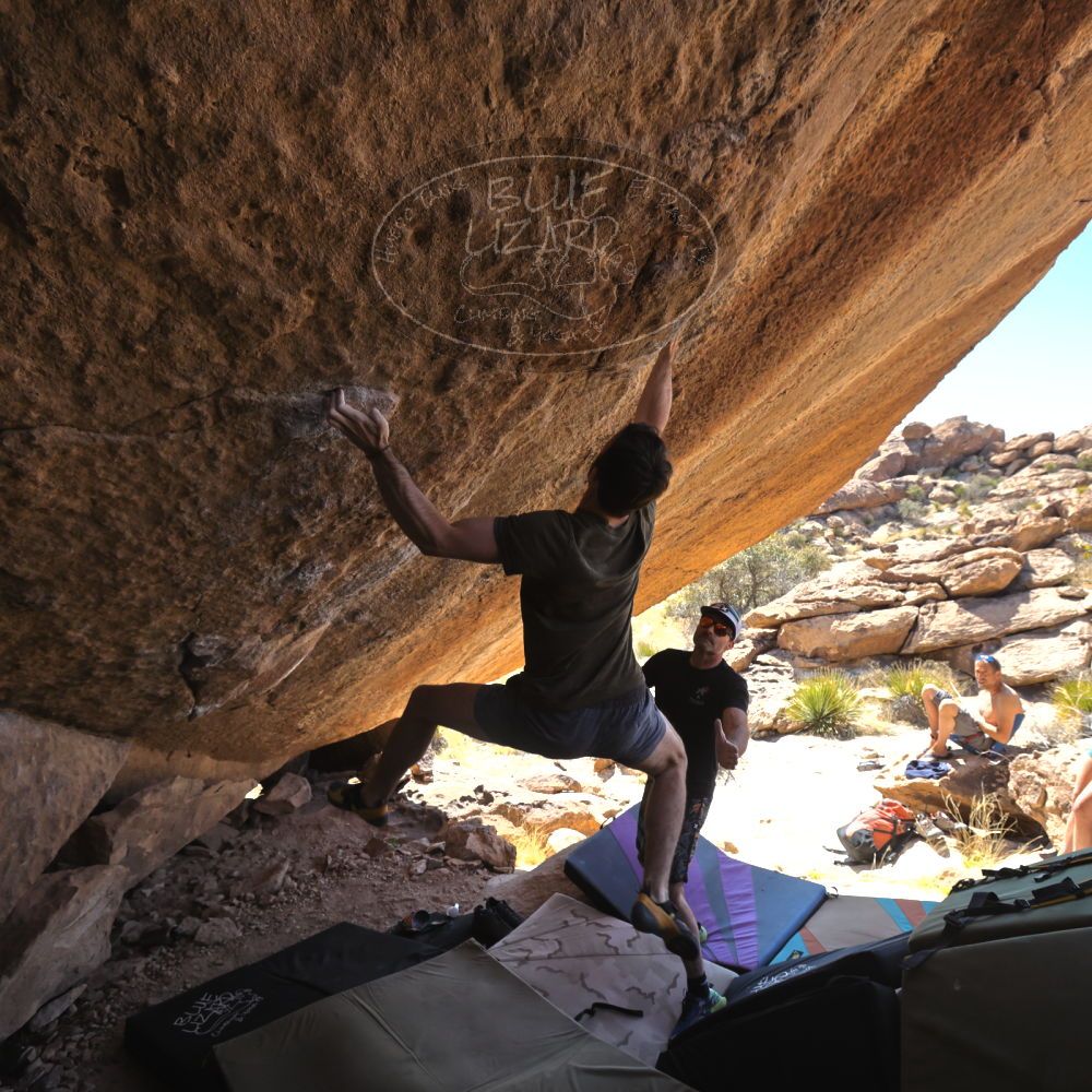 

Filename: SRM_20230310_1234062.jpg
Aperture: f/5.6
Shutter Speed: 1/400
Body: Canon EOS R6
Lens: Canon EF 16-35mm f/2.8 L