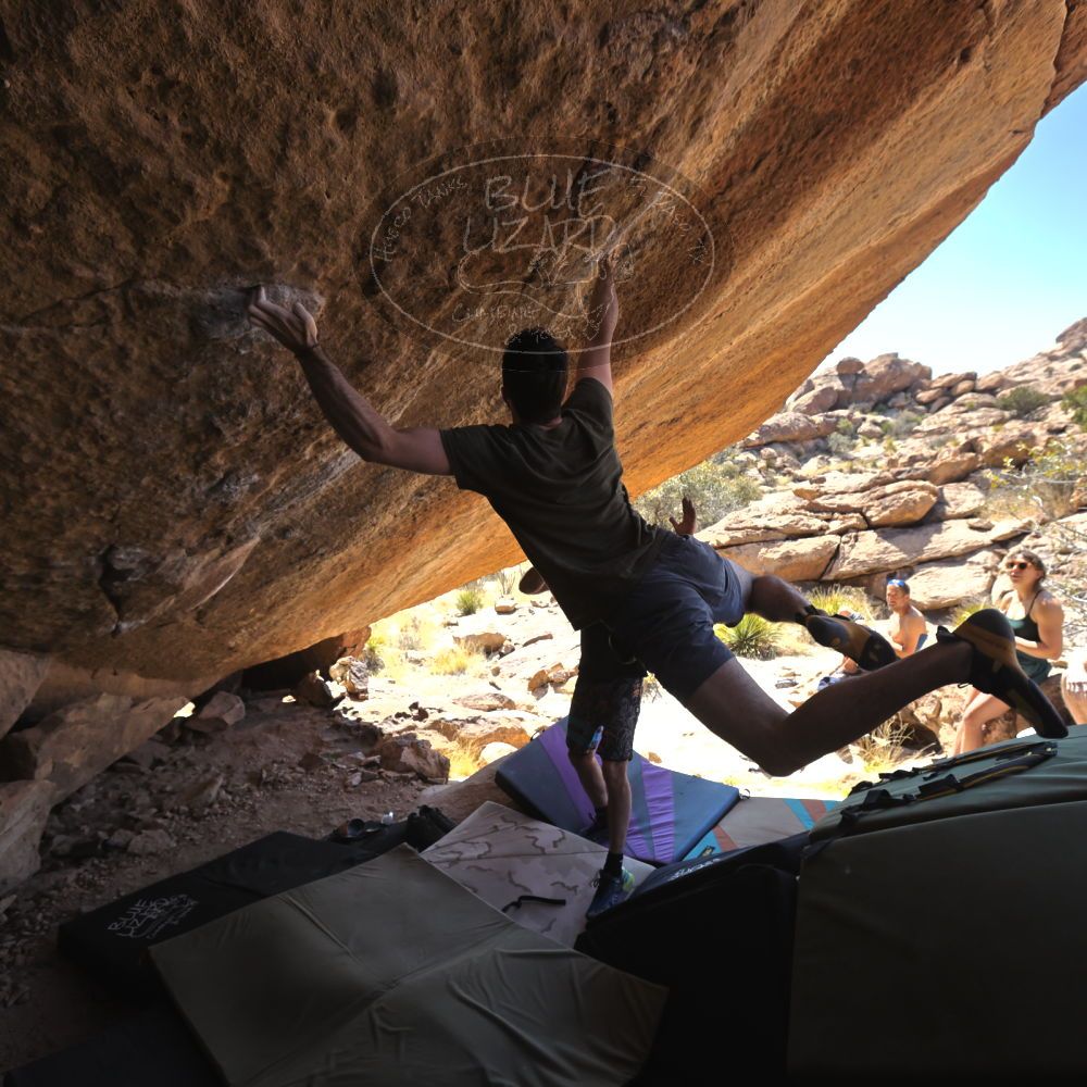 

Filename: SRM_20230310_1234075.jpg
Aperture: f/5.6
Shutter Speed: 1/400
Body: Canon EOS R6
Lens: Canon EF 16-35mm f/2.8 L