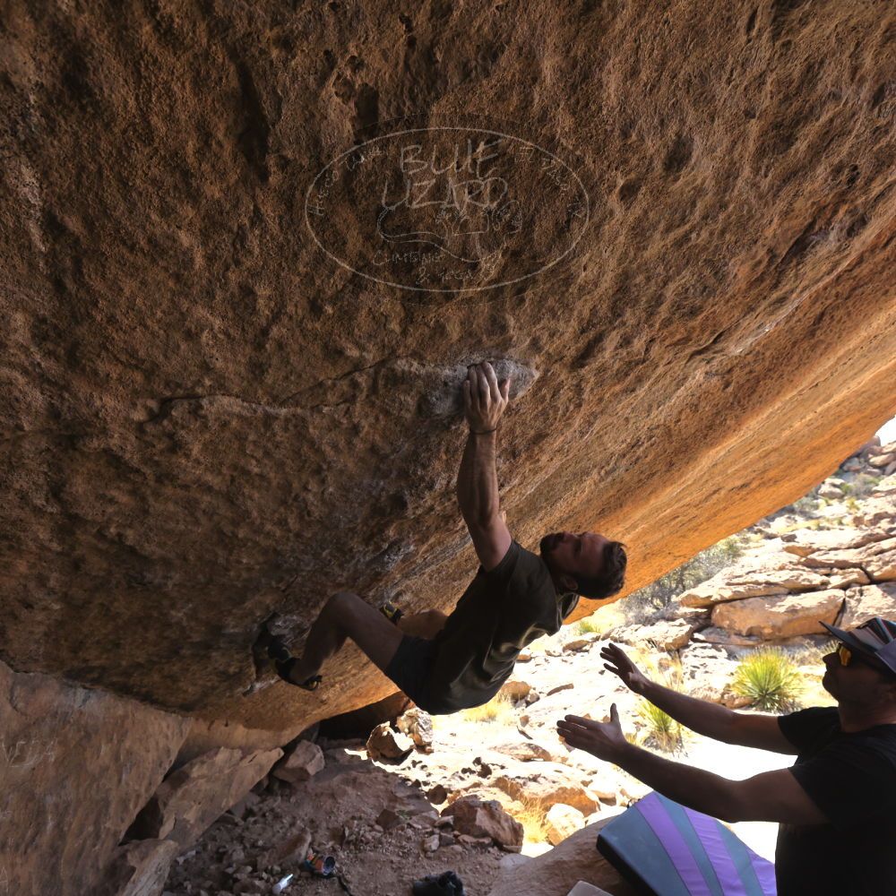 

Filename: SRM_20230310_1300592.jpg
Aperture: f/5.6
Shutter Speed: 1/400
Body: Canon EOS R6
Lens: Canon EF 16-35mm f/2.8 L