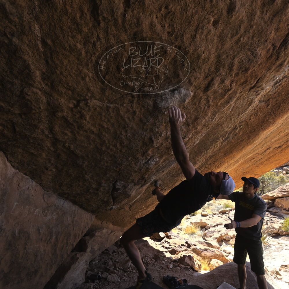 

Filename: SRM_20230310_1332471.jpg
Aperture: f/5.6
Shutter Speed: 1/400
Body: Canon EOS R6
Lens: Canon EF 16-35mm f/2.8 L