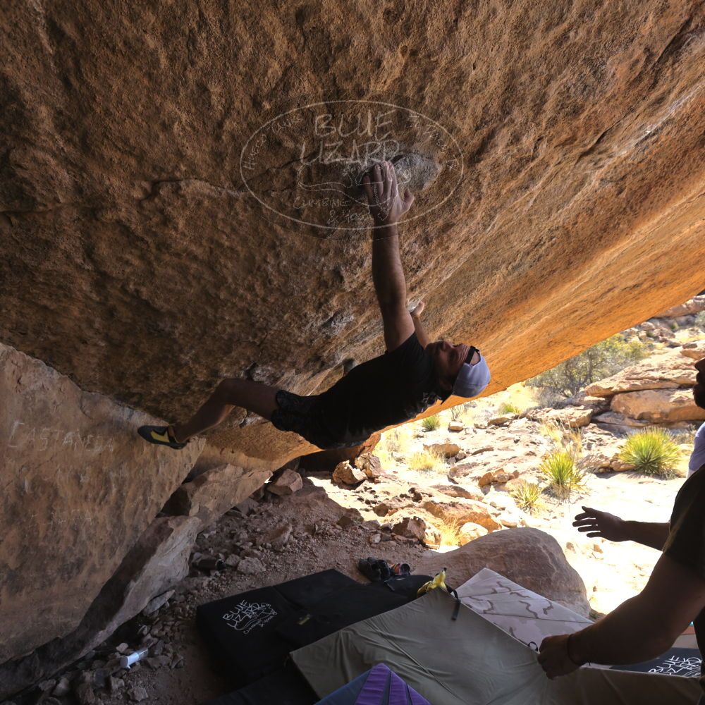 

Filename: SRM_20230310_1338090.jpg
Aperture: f/5.6
Shutter Speed: 1/400
Body: Canon EOS R6
Lens: Canon EF 16-35mm f/2.8 L