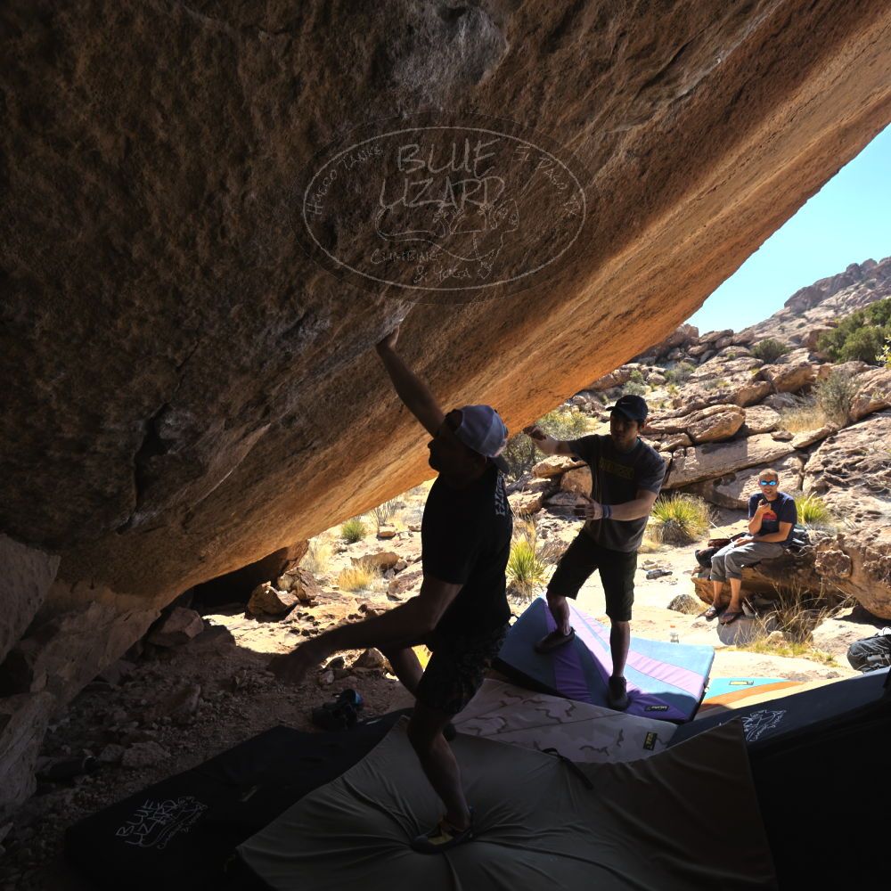 

Filename: SRM_20230310_1351350.jpg
Aperture: f/5.6
Shutter Speed: 1/400
Body: Canon EOS R6
Lens: Canon EF 16-35mm f/2.8 L