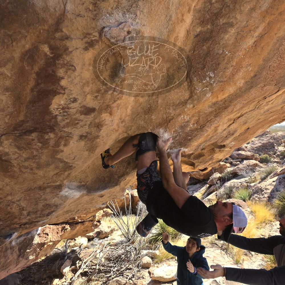 

Filename: SRM_20230310_1429111.jpg
Aperture: f/5.6
Shutter Speed: 1/400
Body: Canon EOS R6
Lens: Canon EF 16-35mm f/2.8 L