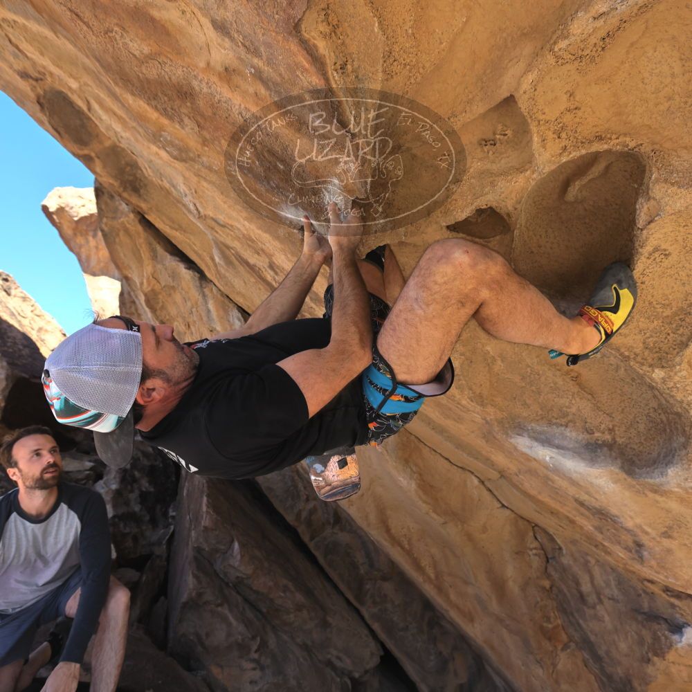 

Filename: SRM_20230310_1453530.jpg
Aperture: f/5.6
Shutter Speed: 1/400
Body: Canon EOS R6
Lens: Canon EF 16-35mm f/2.8 L