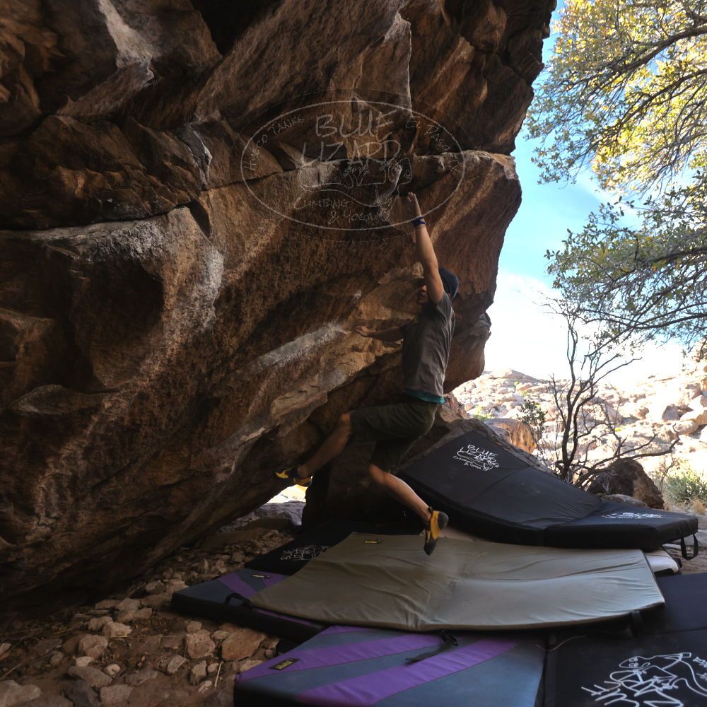 

Filename: SRM_20230310_1634160.jpg
Aperture: f/4.0
Shutter Speed: 1/400
Body: Canon EOS R6
Lens: Canon EF 16-35mm f/2.8 L