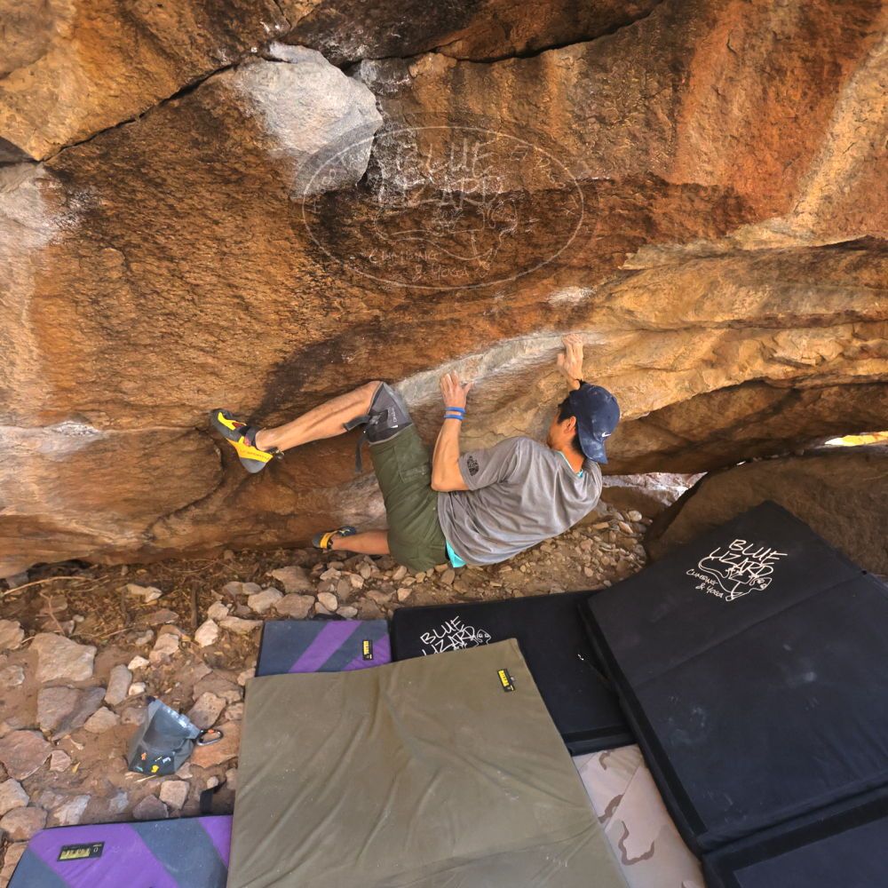 

Filename: SRM_20230310_1645360.jpg
Aperture: f/4.0
Shutter Speed: 1/400
Body: Canon EOS R6
Lens: Canon EF 16-35mm f/2.8 L