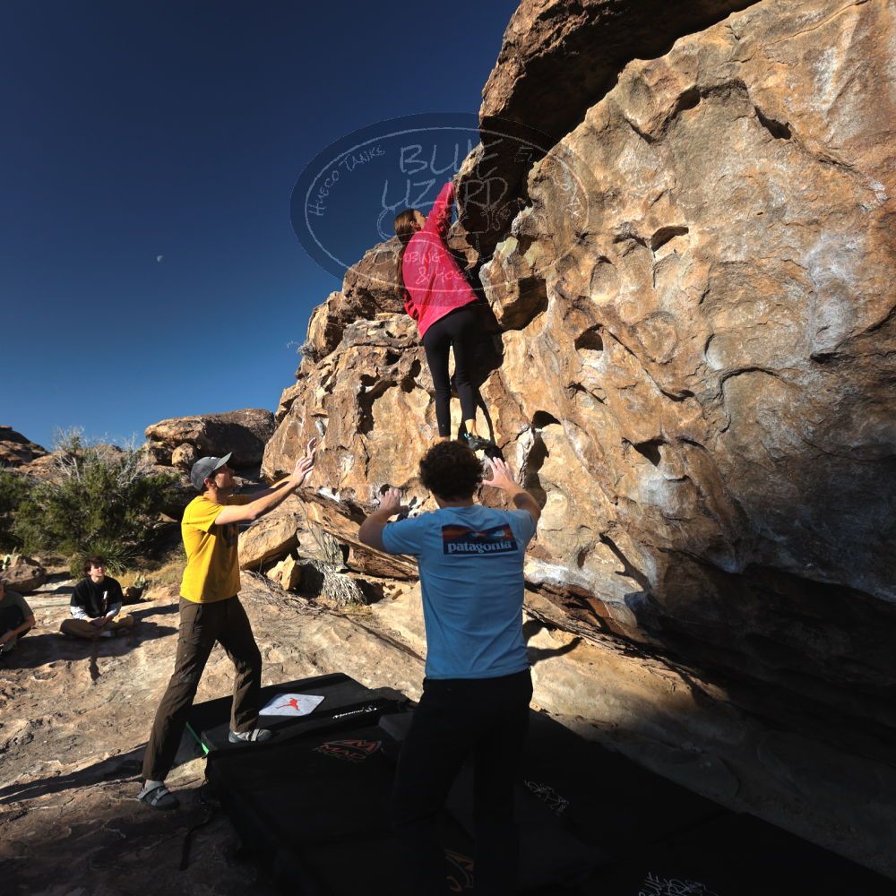 

Filename: SRM_20230314_0804210.jpg
Aperture: f/5.6
Shutter Speed: 1/500
Body: Canon EOS R6
Lens: Canon EF 16-35mm f/2.8 L