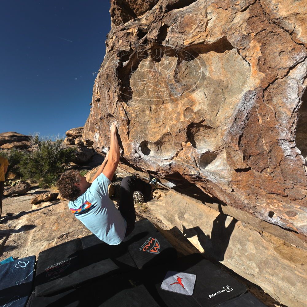 Filename: SRM_20230314_0808420.jpg
Aperture: f/5.6
Shutter Speed: 1/500
Body: Canon EOS R6
Lens: Canon EF 16-35mm f/2.8 L