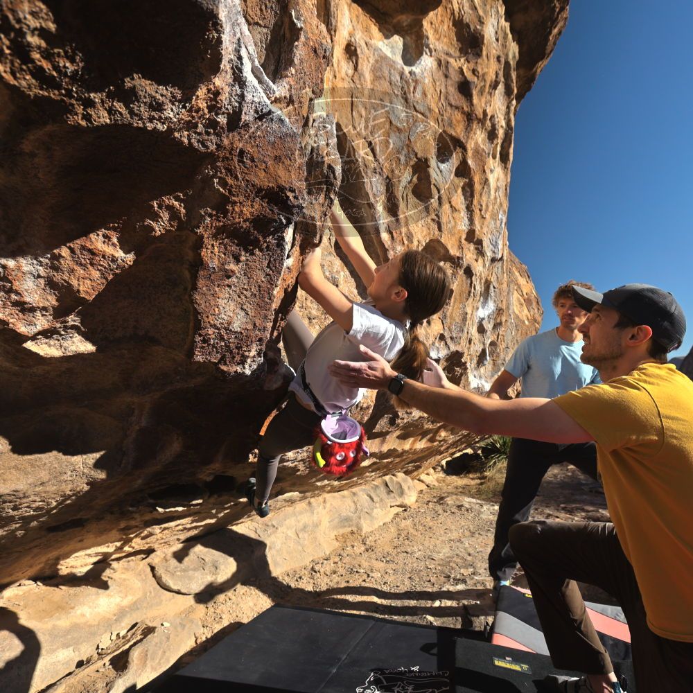 Filename: SRM_20230314_0811190.jpg
Aperture: f/5.6
Shutter Speed: 1/500
Body: Canon EOS R6
Lens: Canon EF 16-35mm f/2.8 L