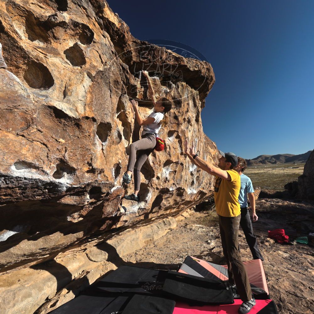 Filename: SRM_20230314_0811420.jpg
Aperture: f/5.6
Shutter Speed: 1/500
Body: Canon EOS R6
Lens: Canon EF 16-35mm f/2.8 L