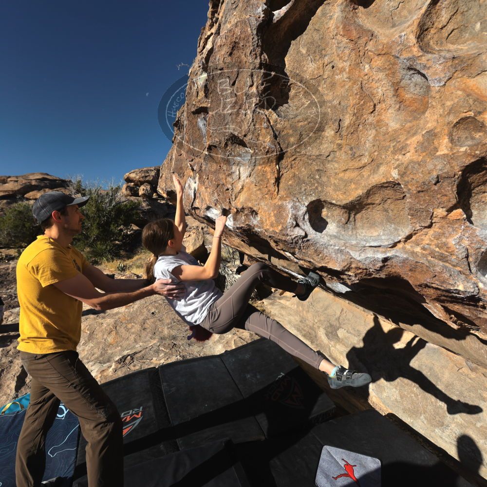 Filename: SRM_20230314_0815040.jpg
Aperture: f/5.6
Shutter Speed: 1/500
Body: Canon EOS R6
Lens: Canon EF 16-35mm f/2.8 L