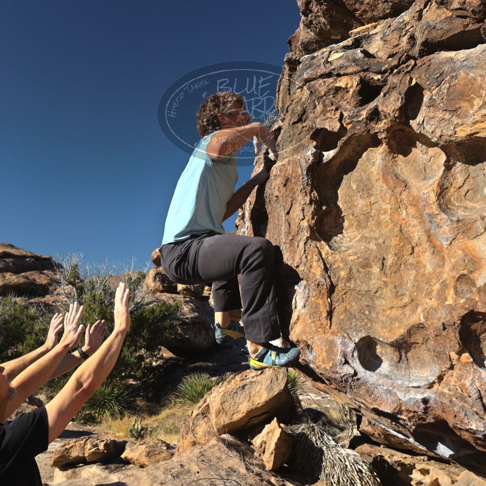 Filename: SRM_20230314_0816020.jpg
Aperture: f/5.6
Shutter Speed: 1/500
Body: Canon EOS R6
Lens: Canon EF 16-35mm f/2.8 L