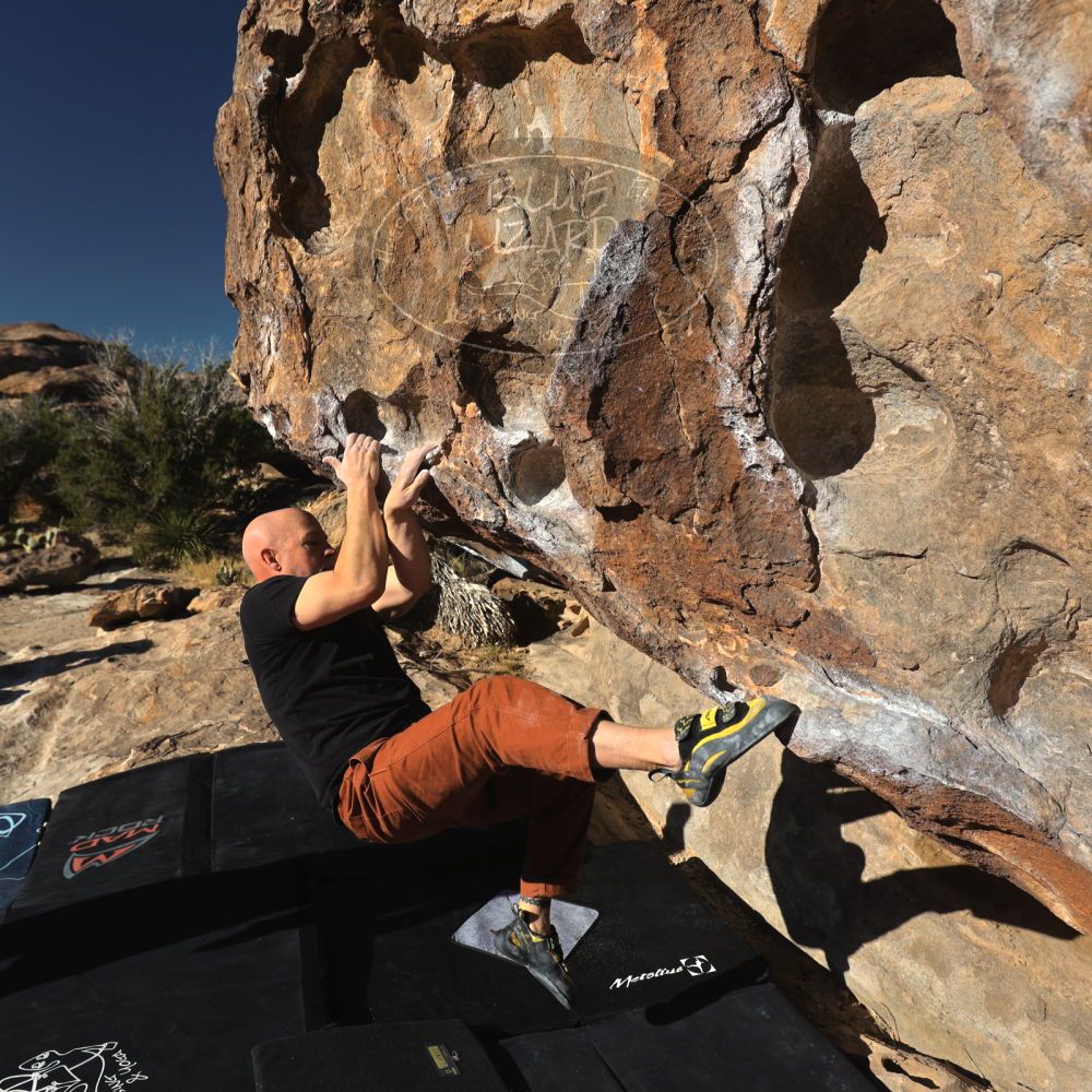 

Filename: SRM_20230314_0816400.jpg
Aperture: f/5.6
Shutter Speed: 1/500
Body: Canon EOS R6
Lens: Canon EF 16-35mm f/2.8 L