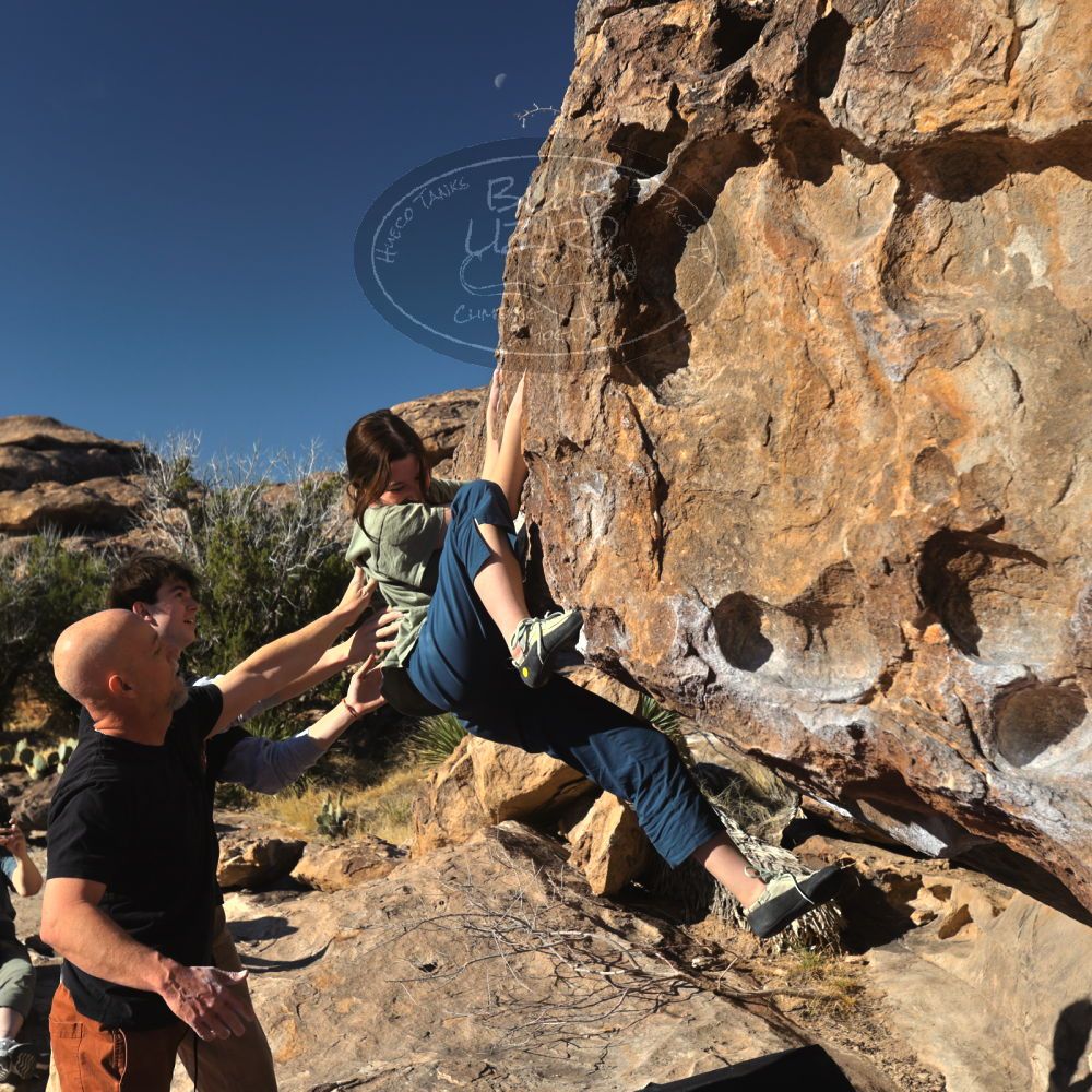 Filename: SRM_20230314_0820330.jpg
Aperture: f/5.6
Shutter Speed: 1/500
Body: Canon EOS R6
Lens: Canon EF 16-35mm f/2.8 L