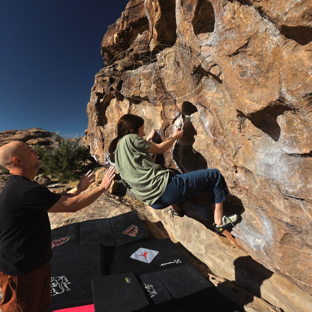 Filename: SRM_20230314_0821260.jpg
Aperture: f/5.6
Shutter Speed: 1/500
Body: Canon EOS R6
Lens: Canon EF 16-35mm f/2.8 L