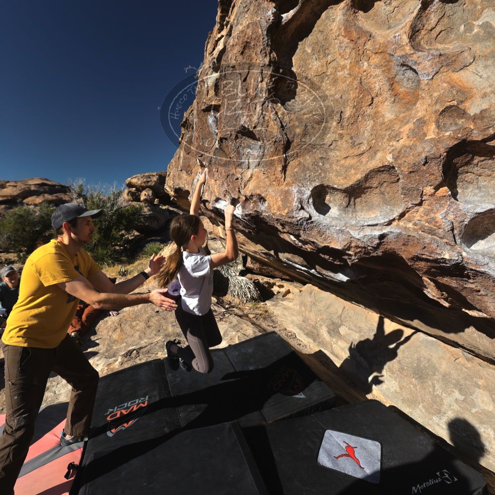 

Filename: SRM_20230314_0823141.jpg
Aperture: f/5.6
Shutter Speed: 1/500
Body: Canon EOS R6
Lens: Canon EF 16-35mm f/2.8 L