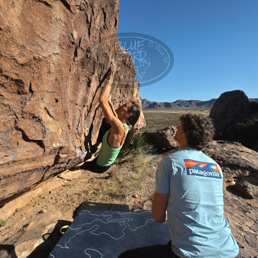 Filename: SRM_20230314_0825090.jpg
Aperture: f/5.6
Shutter Speed: 1/500
Body: Canon EOS R6
Lens: Canon EF 16-35mm f/2.8 L