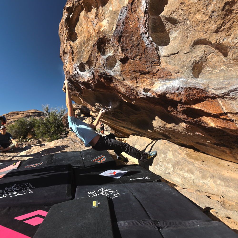 Filename: SRM_20230314_0830571.jpg
Aperture: f/5.6
Shutter Speed: 1/500
Body: Canon EOS R6
Lens: Canon EF 16-35mm f/2.8 L