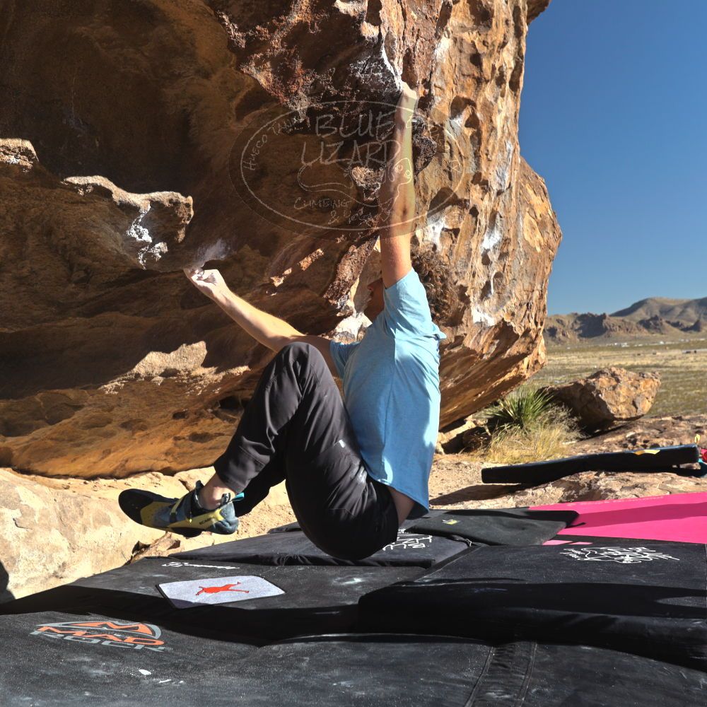 Filename: SRM_20230314_0835460.jpg
Aperture: f/5.6
Shutter Speed: 1/500
Body: Canon EOS R6
Lens: Canon EF 16-35mm f/2.8 L