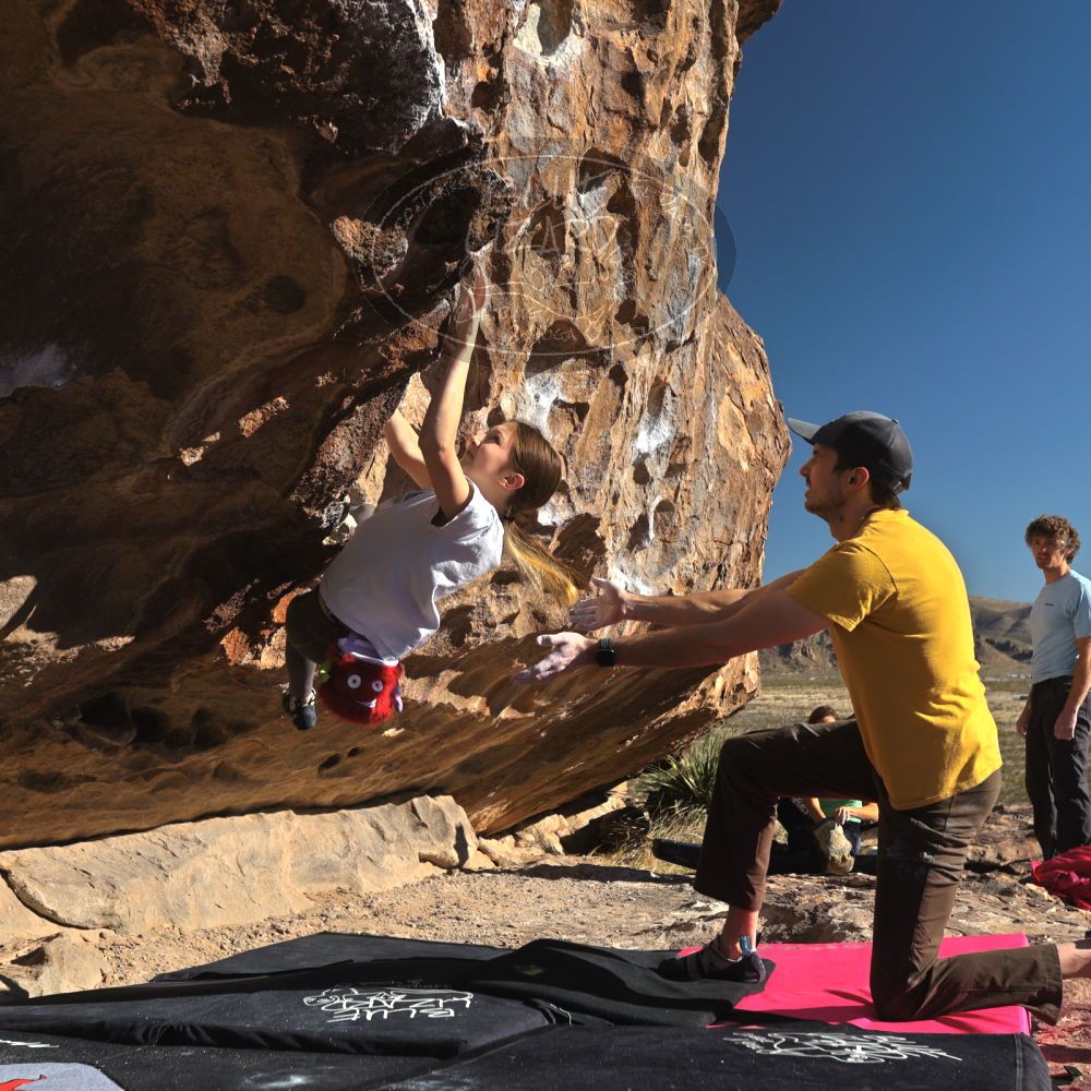 Filename: SRM_20230314_0838450.jpg
Aperture: f/5.6
Shutter Speed: 1/500
Body: Canon EOS R6
Lens: Canon EF 16-35mm f/2.8 L